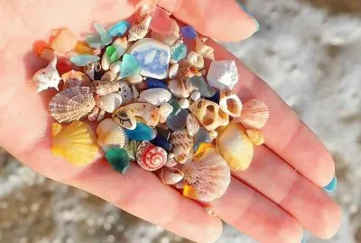 natural jigsaw puzzle