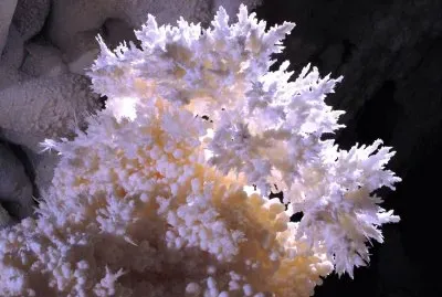 NM - Carlsbad Caverns  - Arogonite crystals