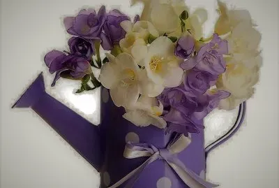 flores