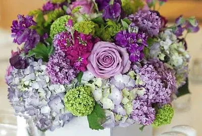 flores