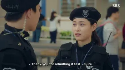 where stars land jigsaw puzzle