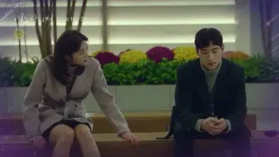 where stars land jigsaw puzzle