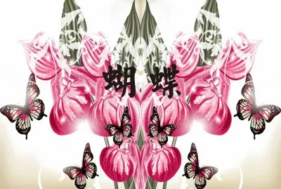 æ˜†èŸ²å°ç¨±çŸ¢é‡åœ–