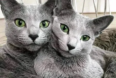 natural