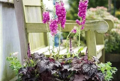 Imagem jigsaw puzzle