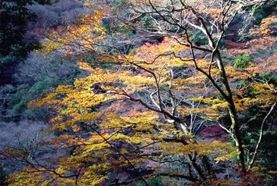 Osaka, Japan Mino park