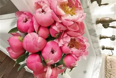 flores