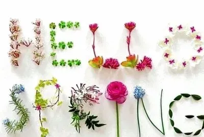 flores
