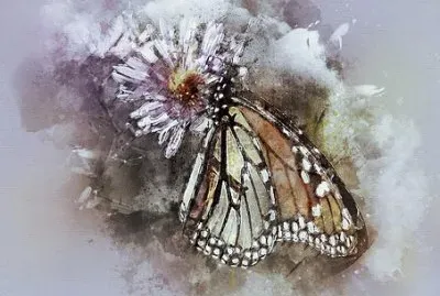 פאזל של Imagem