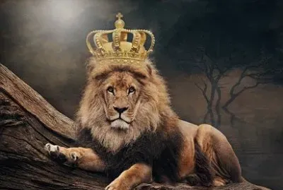 Imagem jigsaw puzzle