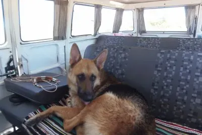 ChicÃ£o na kombi