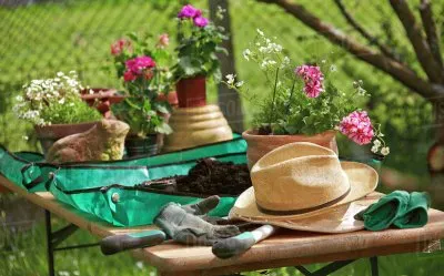 Gardening Table jigsaw puzzle