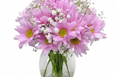 flores