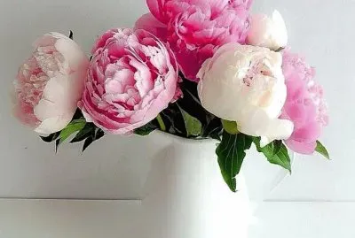 flores