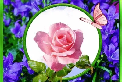 Bunt jigsaw puzzle