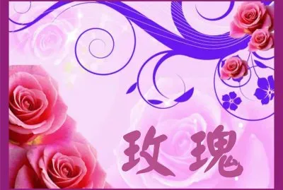 çŽ«ç‘°èŠ±åœ– jigsaw puzzle