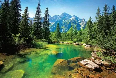 ruisseau montagnard en Slovaquie