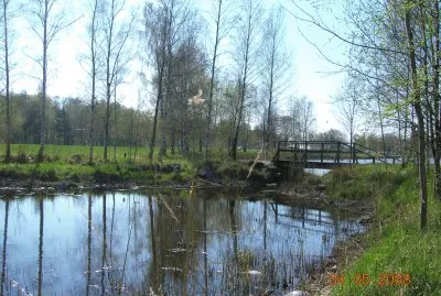 campagne finlandaise
