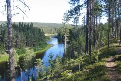 riviÃ¨re et forÃªt Finlande