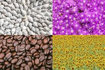 JSPuzzles-åœ–ç‰‡å»Š (çµ„åˆ)