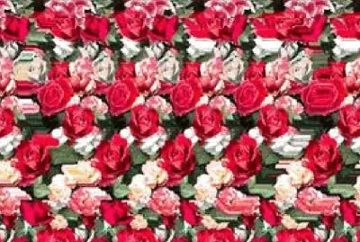 Imagem jigsaw puzzle
