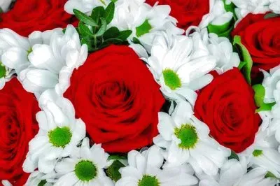 Imagem jigsaw puzzle