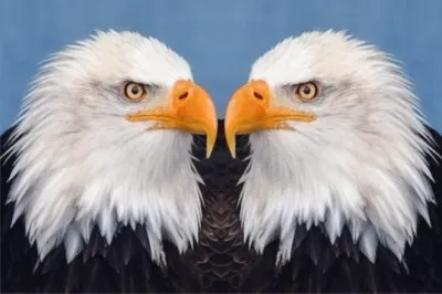 JSPuzzles-åœ–ç‰‡å»Š (å°ç¨±)