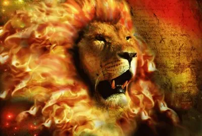 פאזל של Imagem