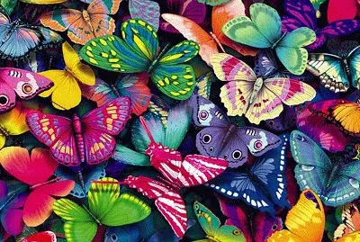 mariposas