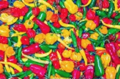 Imagem jigsaw puzzle