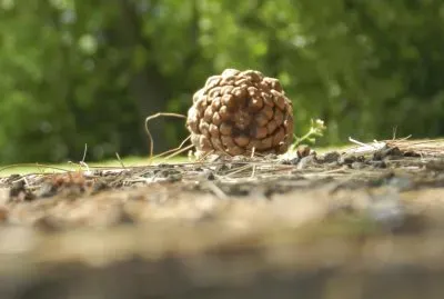 פאזל של ××¦×˜×¨×•×‘×œ
