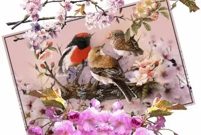 Bunt