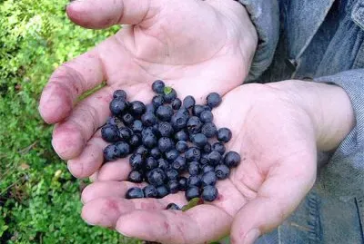 Imagem jigsaw puzzle