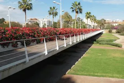 puente de las flores-valencia
