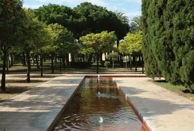 naranjos en el cauce del turia