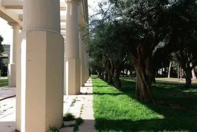 jardines junto al palau de la musica