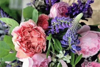 flores