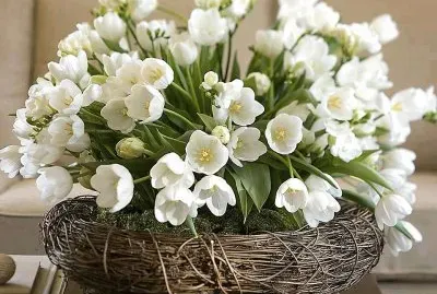 flores