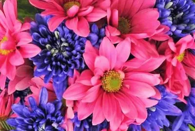 flores