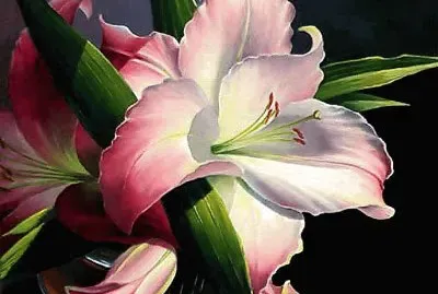 flores