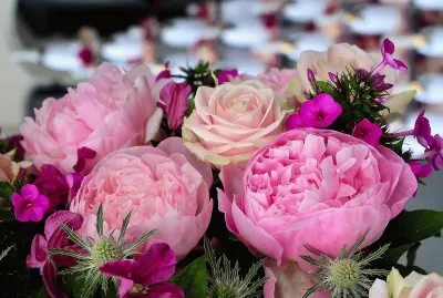 flores