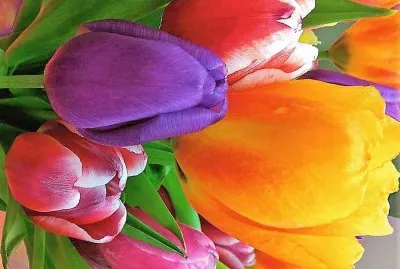 cores jigsaw puzzle