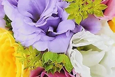 flores
