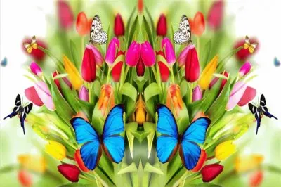 å°ç¨±è®ŠåŒ–