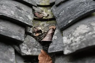 Imagem jigsaw puzzle