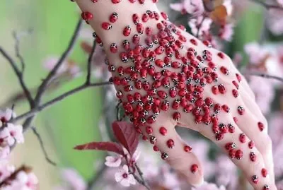 natural