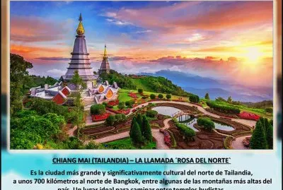 CHIANG MAI (TAILANDIA) â€“ LA LLAMADA Â´ROSA DEL NORTE`