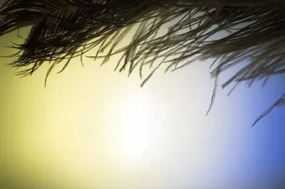 פאזל של Imagem