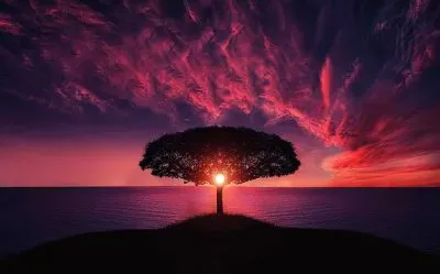 Imagem jigsaw puzzle
