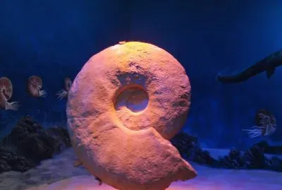 Museo del Desierto en Saltillo, Coahuila.